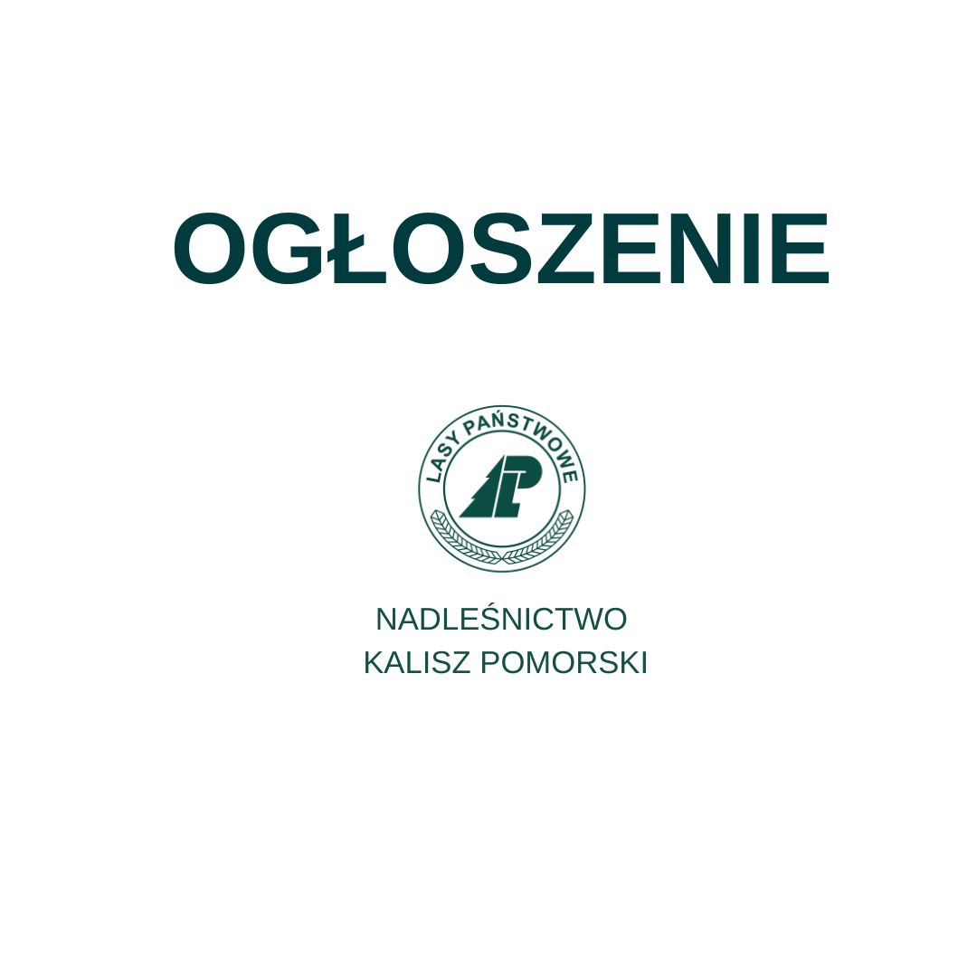 Nabór na stanowisko podleśniczego